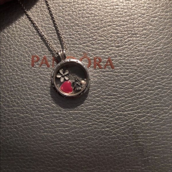 Pandora Charm Bracelet with Charms, Pandora Locket - Picture 5 of 6